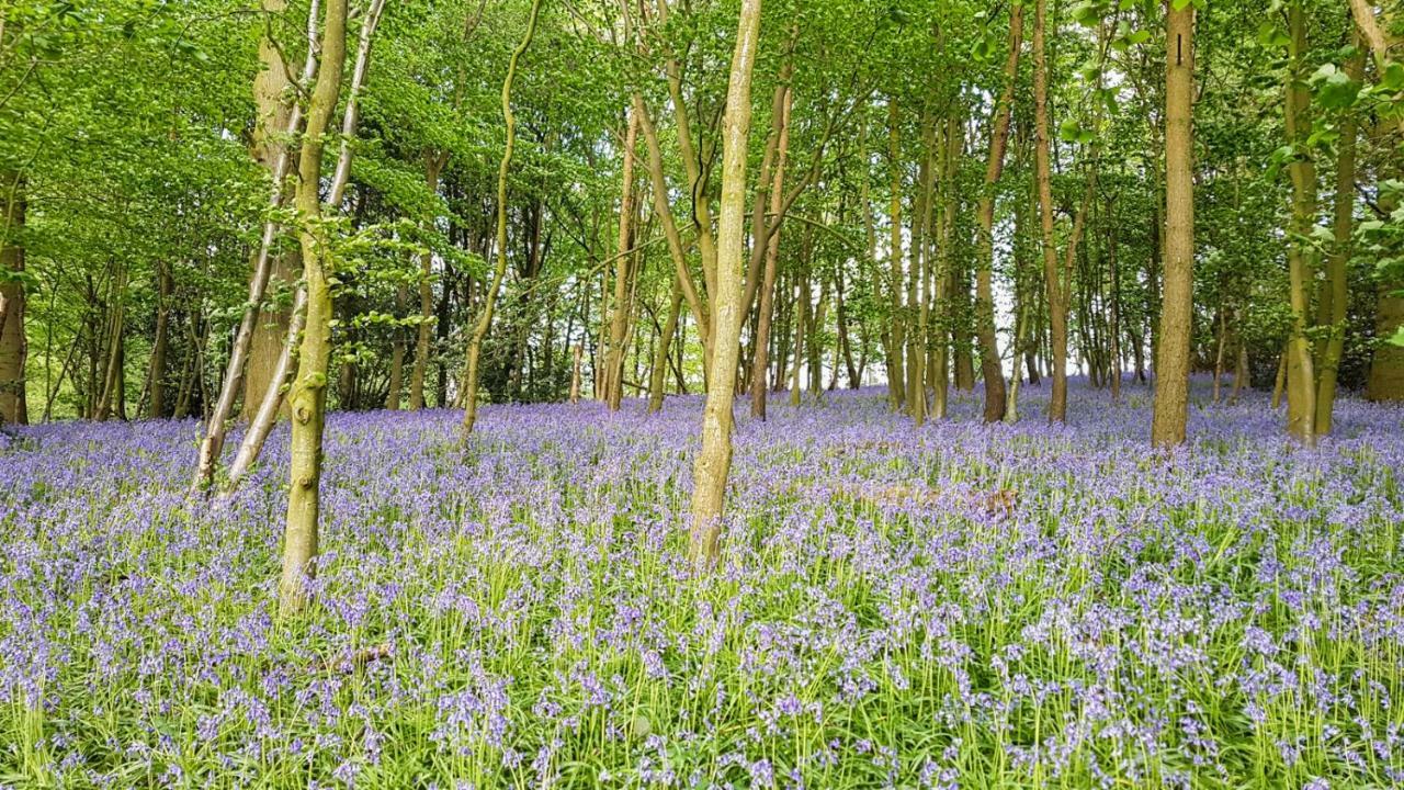 High Oaks Grange - Glamping Hotell Pickering Exteriör bild